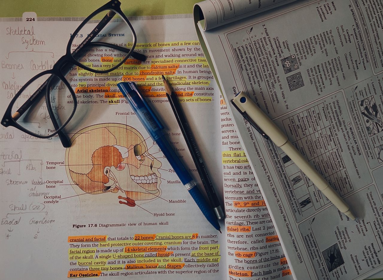 services-01 Detailed study materials showcasing the human skeletal system, ideal for educational purposes.