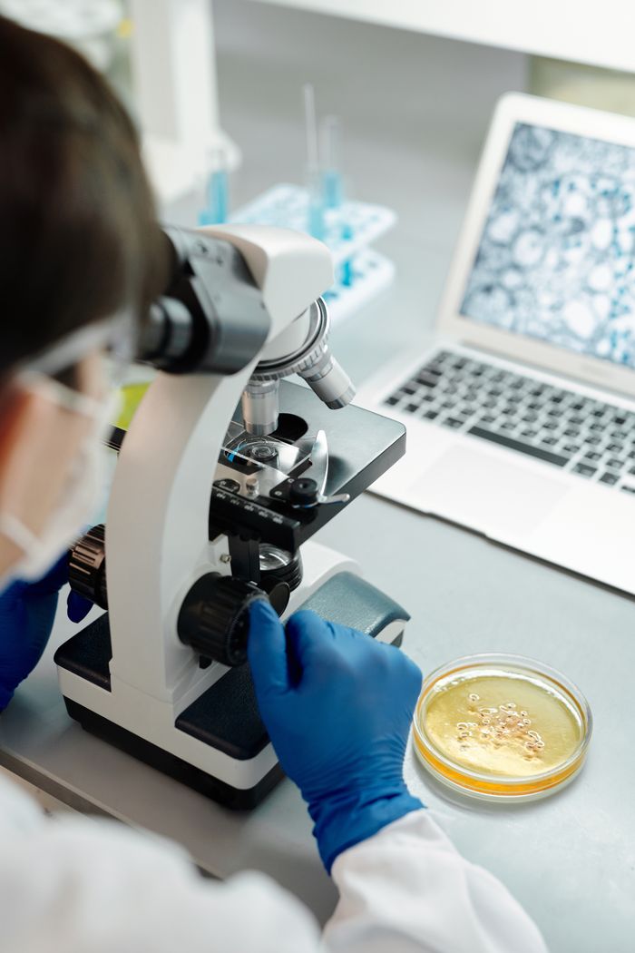 gallery-6 Researcher examining samples through a microscope with a petri dish in a lab setting.