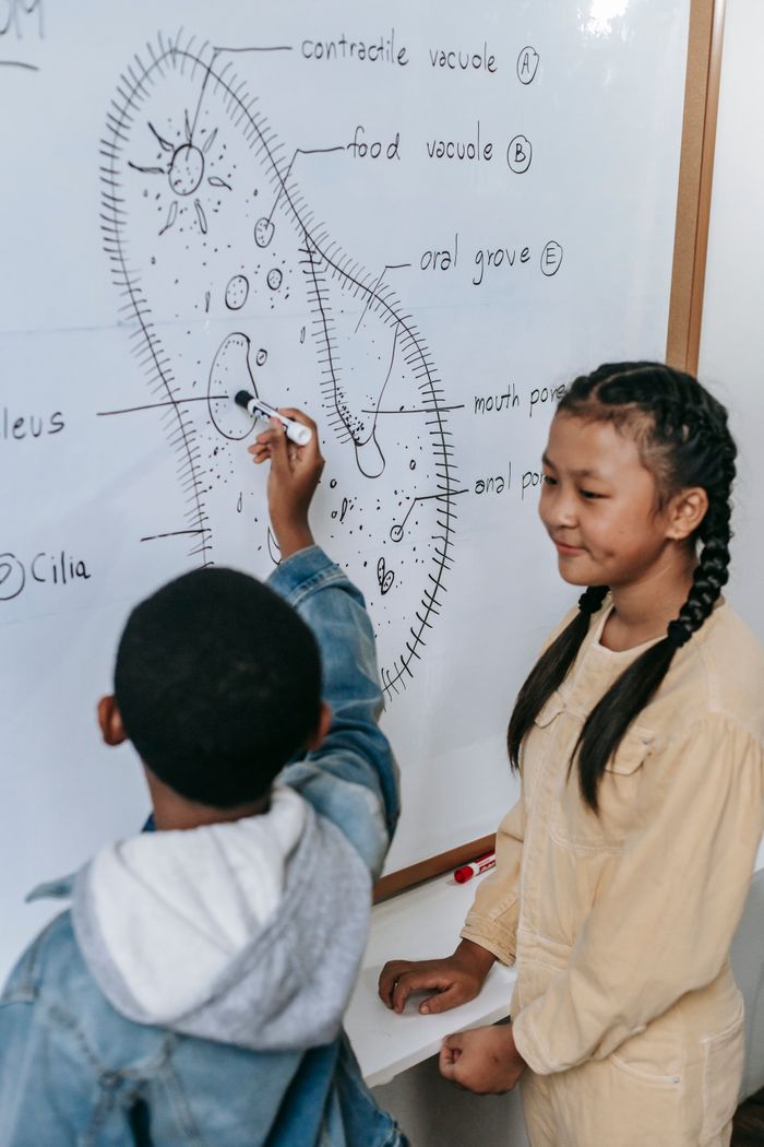 hero-img-02 Multiracial smart classmates studying structure of primitive organism on whiteboard while showing scheme