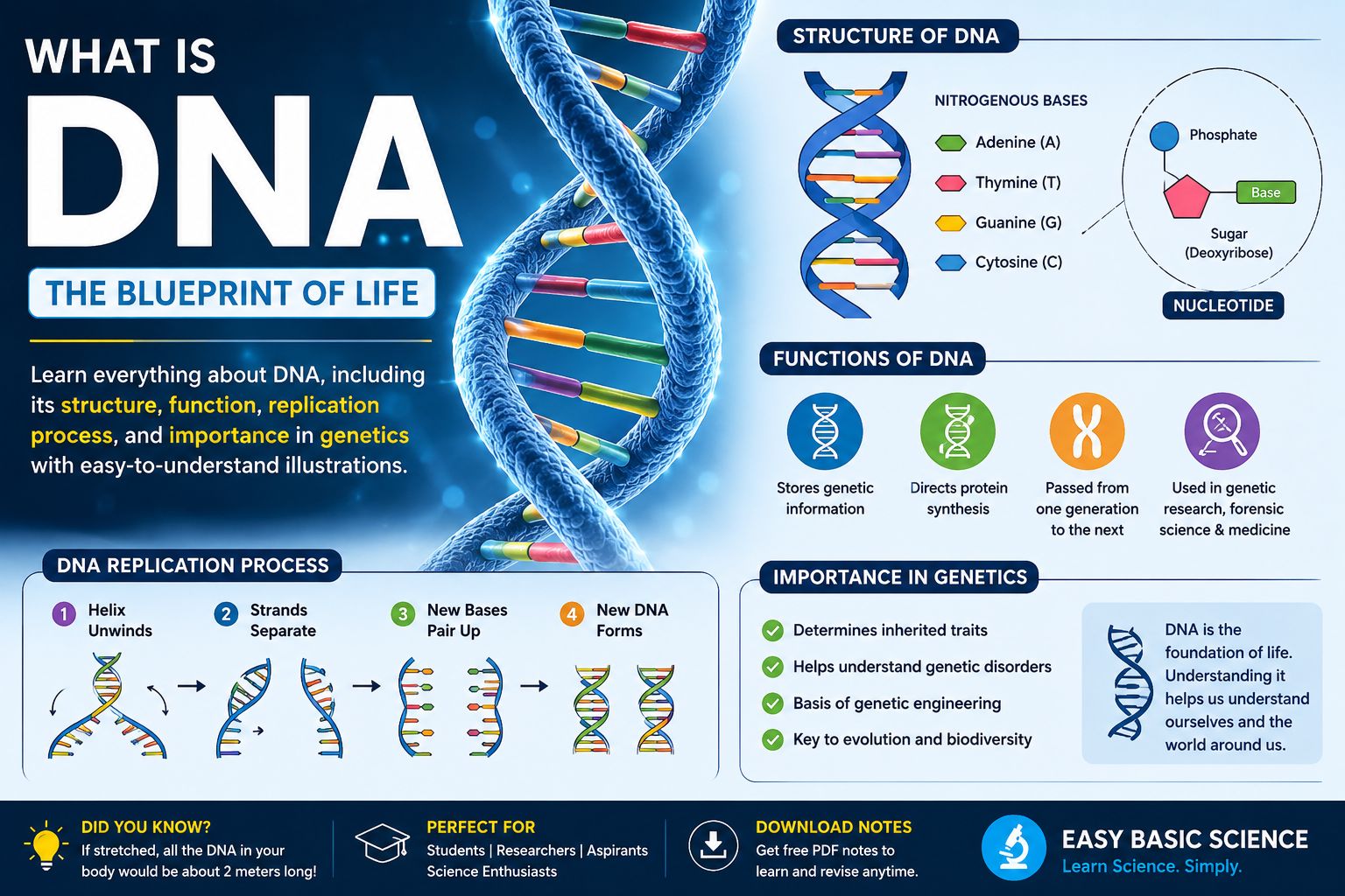What is DNA?